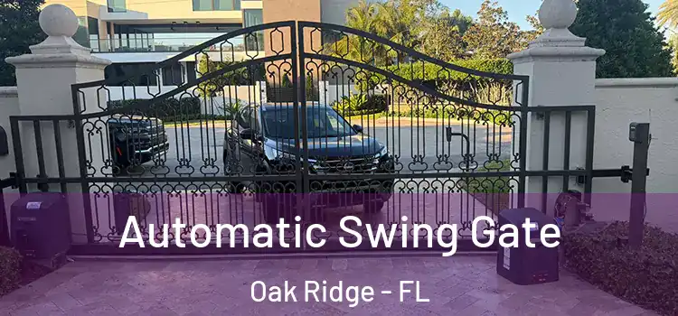 Automatic Swing Gate Oak Ridge - FL