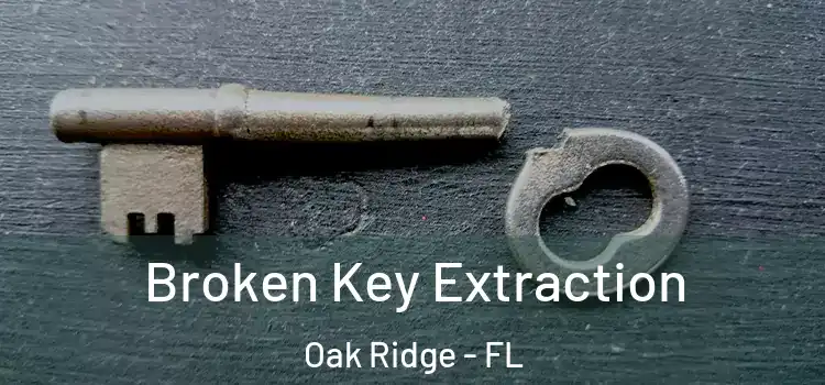  Broken Key Extraction Oak Ridge - FL