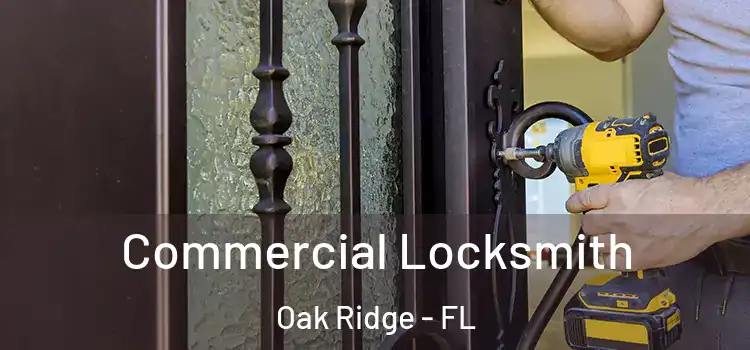 Commercial Locksmith Oak Ridge - FL