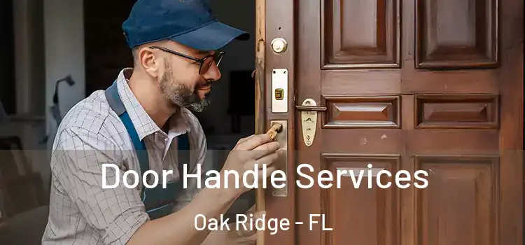 Door Handle Services Oak Ridge - FL