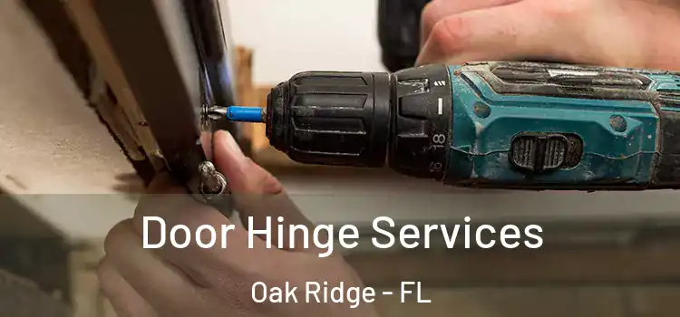  Door Hinge Services Oak Ridge - FL