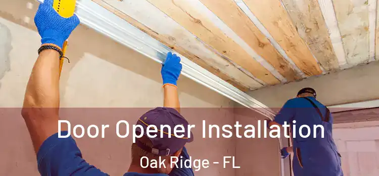  Door Opener Installation Oak Ridge - FL