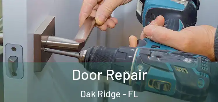 Door Repair Oak Ridge - FL