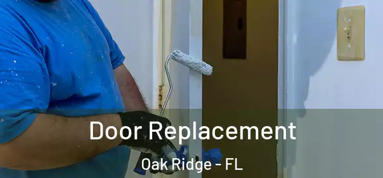  Door Replacement Oak Ridge - FL