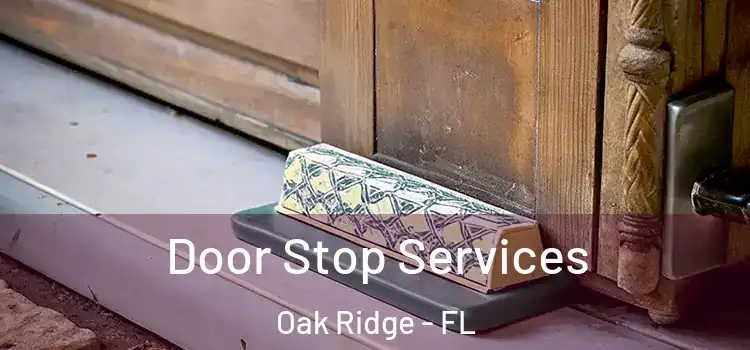 Door Stop Services Oak Ridge - FL