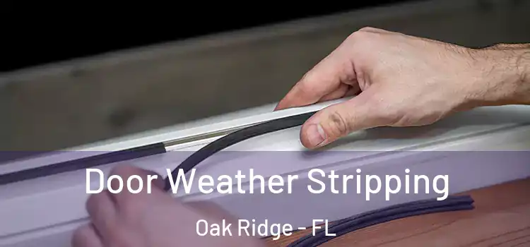  Door Weather Stripping Oak Ridge - FL