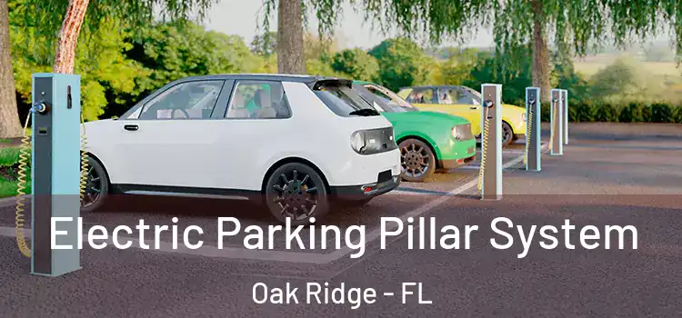  Electric Parking Pillar System Oak Ridge - FL