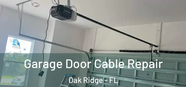  Garage Door Cable Repair Oak Ridge - FL