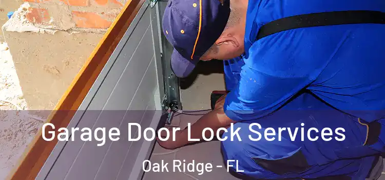 Garage Door Lock Services Oak Ridge - FL