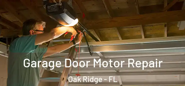  Garage Door Motor Repair Oak Ridge - FL