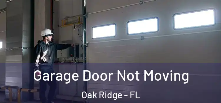  Garage Door Not Moving Oak Ridge - FL
