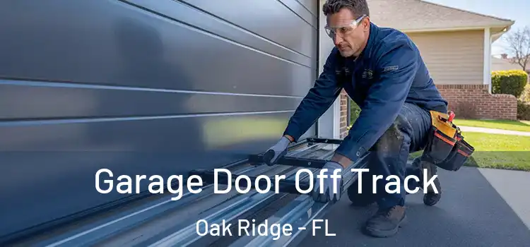  Garage Door Off Track Oak Ridge - FL