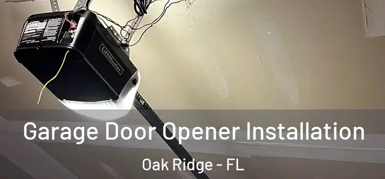  Garage Door Opener Installation Oak Ridge - FL