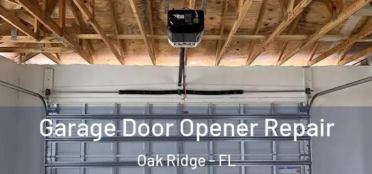  Garage Door Opener Repair Oak Ridge - FL