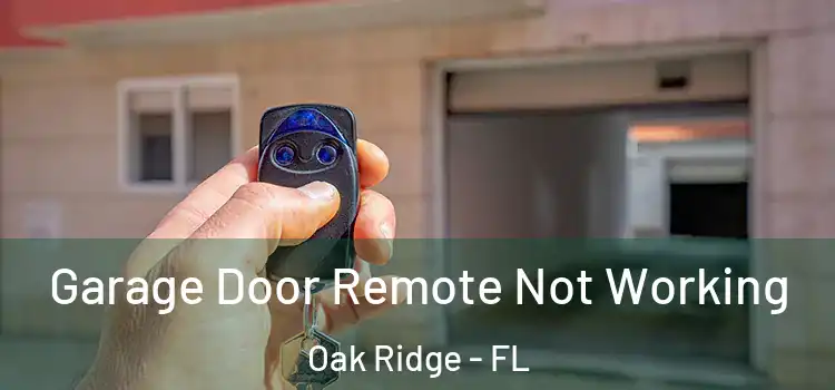  Garage Door Remote Not Working Oak Ridge - FL