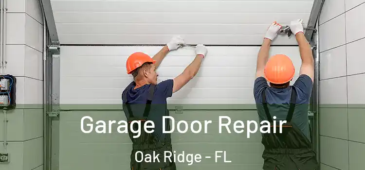  Garage Door Repair Oak Ridge - FL