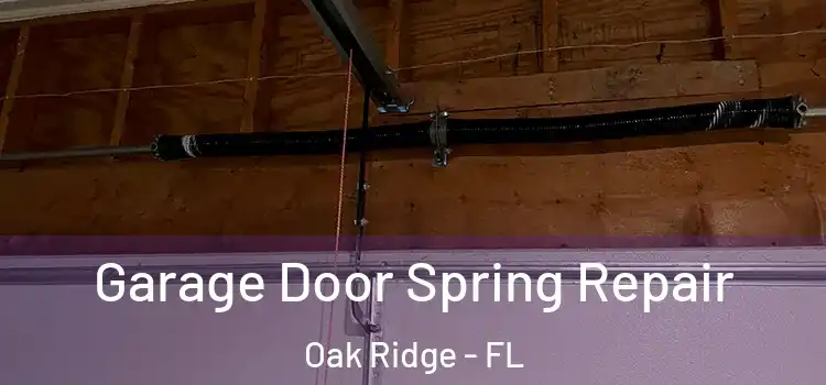  Garage Door Spring Repair Oak Ridge - FL