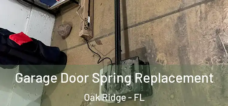  Garage Door Spring Replacement Oak Ridge - FL