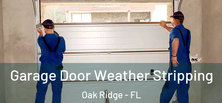  Garage Door Weather Stripping Oak Ridge - FL