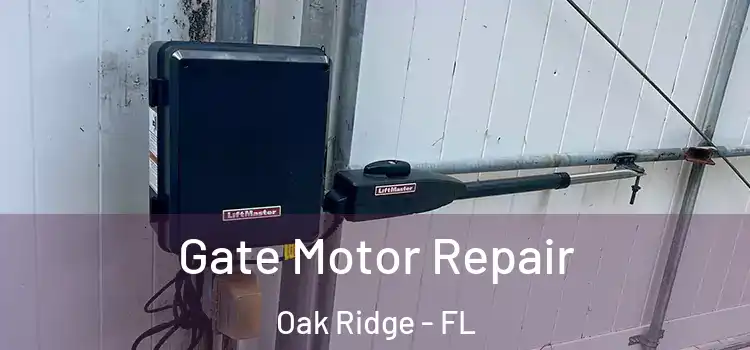  Gate Motor Repair Oak Ridge - FL