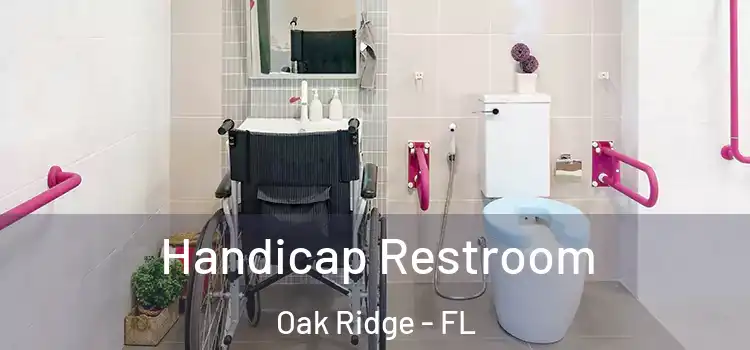 Handicap Restroom Oak Ridge - FL