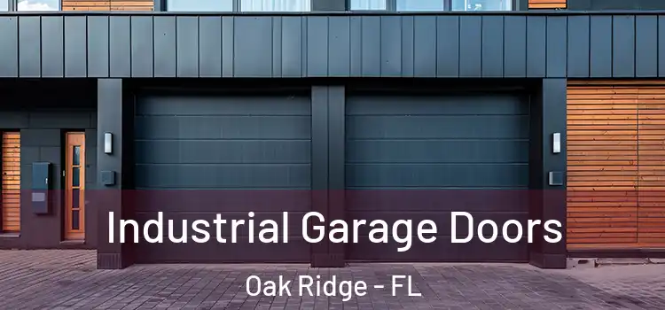  Industrial Garage Doors Oak Ridge - FL