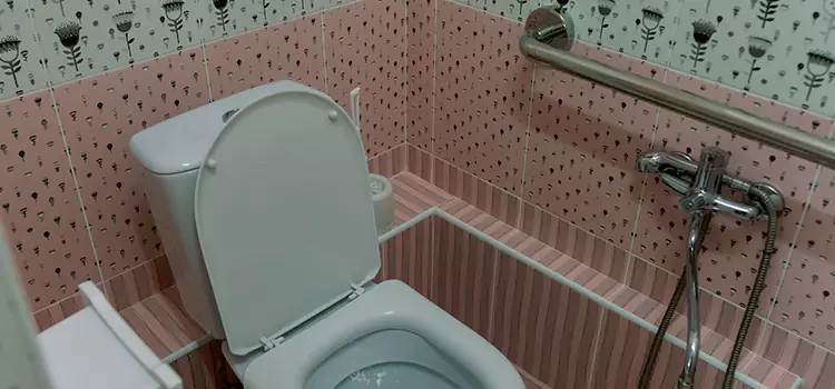 Meeting Diverse Needs With Accessible Restroom Solutions in Oak Ridge, FL