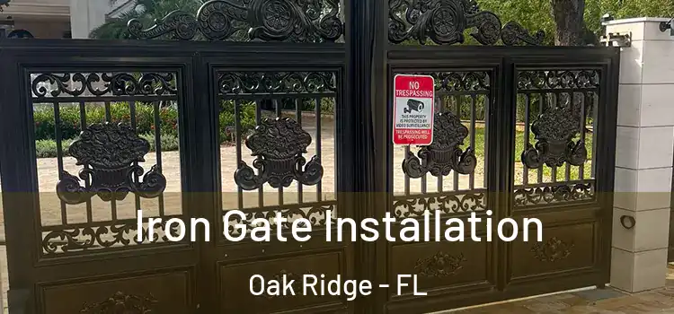  Iron Gate Installation Oak Ridge - FL