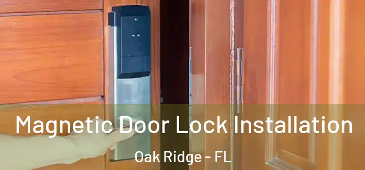  Magnetic Door Lock Installation Oak Ridge - FL