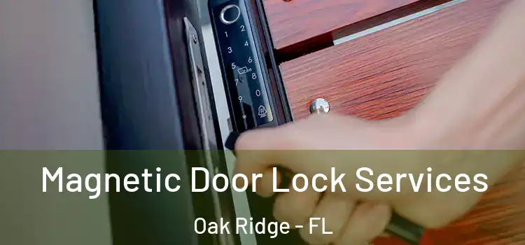 Magnetic Door Lock Services Oak Ridge - FL