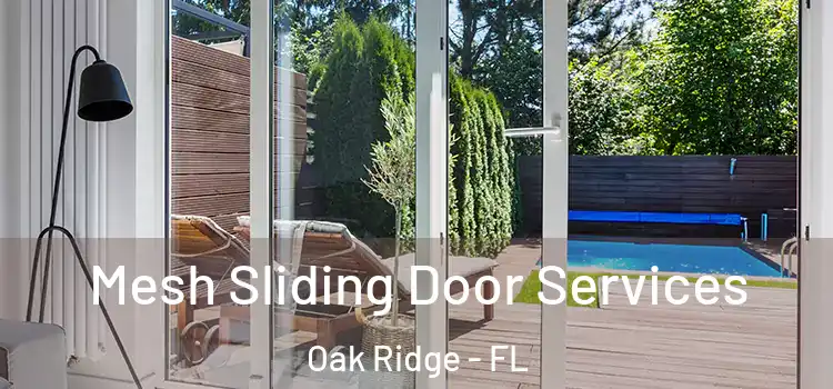 Mesh Sliding Door Services Oak Ridge - FL