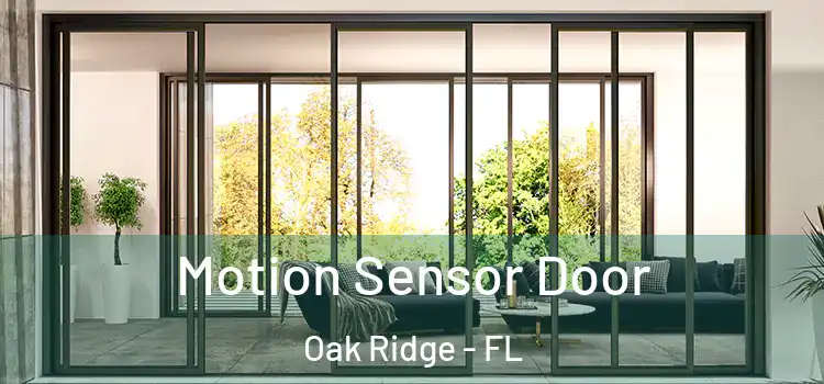  Motion Sensor Door Oak Ridge - FL