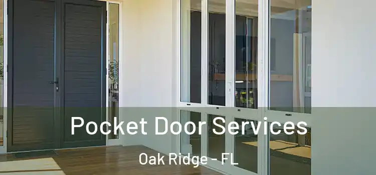  Pocket Door Services Oak Ridge - FL