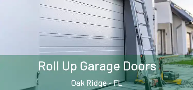  Roll Up Garage Doors Oak Ridge - FL