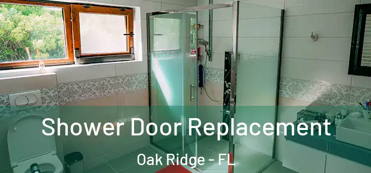 Shower Door Replacement Oak Ridge - FL