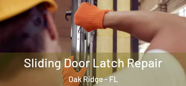 Sliding Door Latch Repair Oak Ridge - FL