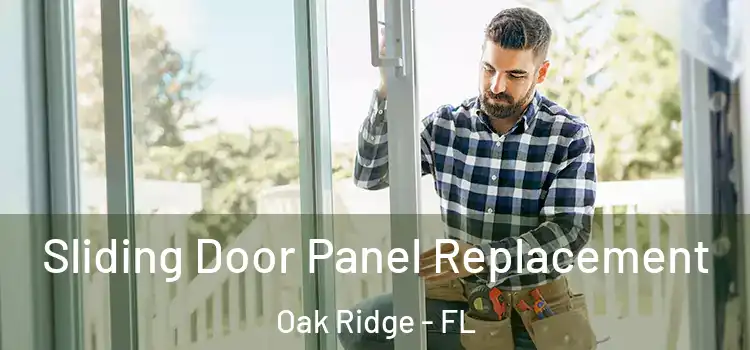  Sliding Door Panel Replacement Oak Ridge - FL