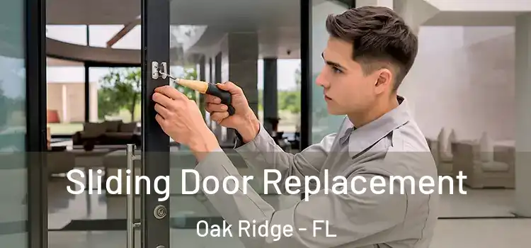 Sliding Door Replacement Oak Ridge - FL
