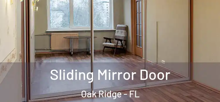  Sliding Mirror Door Oak Ridge - FL
