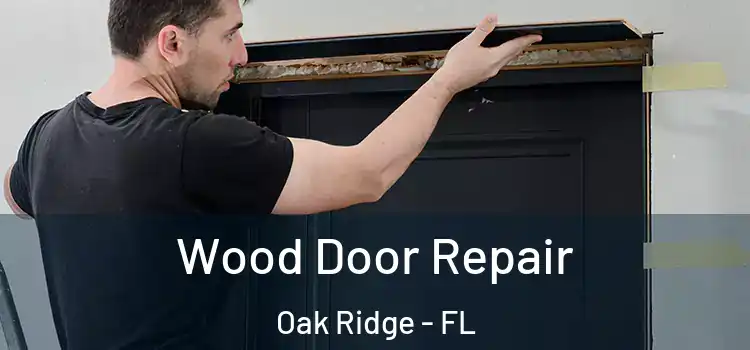 Wood Door Repair Oak Ridge - FL