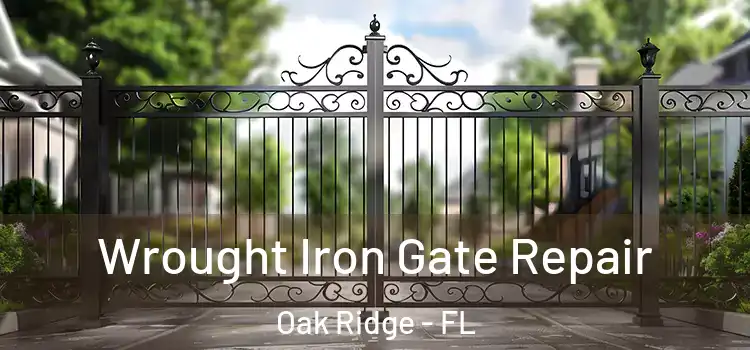  Wrought Iron Gate Repair Oak Ridge - FL